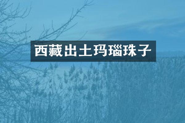 西藏出土玛瑙珠子