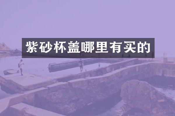 紫砂杯盖哪里有买的