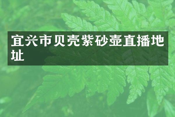 宜兴市贝壳紫砂壶直播地址