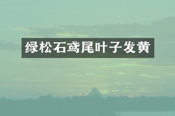 绿松石鸢尾叶子发黄