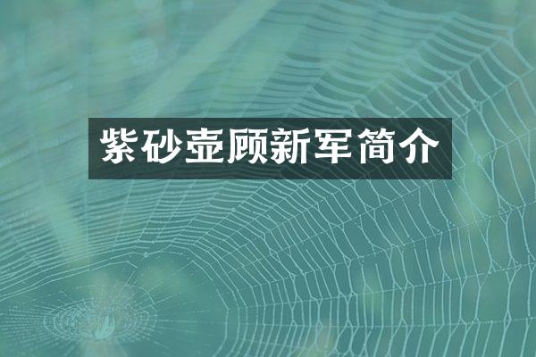 紫砂壶顾新军简介
