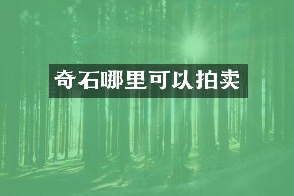 奇石哪里可以拍卖