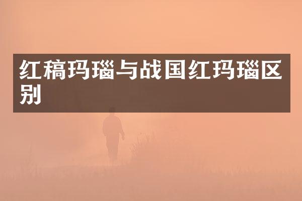 红稿玛瑙与战国红玛瑙区别