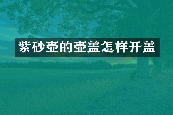 紫砂壶的壶盖怎样开盖