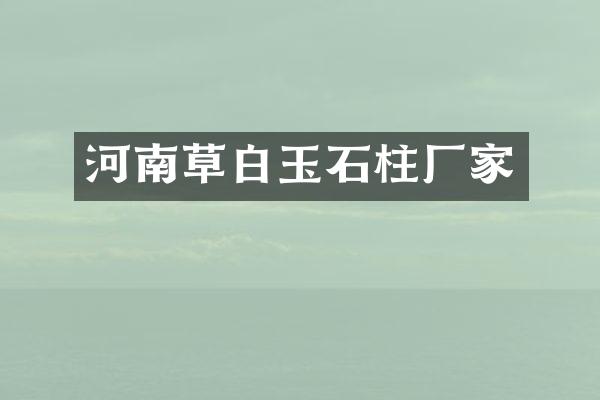 河南草白玉石柱厂家