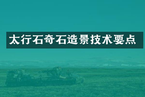 太行石奇石造景技术要点