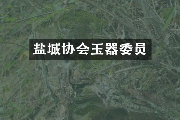 盐城协会玉器委员