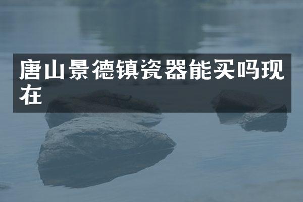 唐山景德镇瓷器能买吗现在