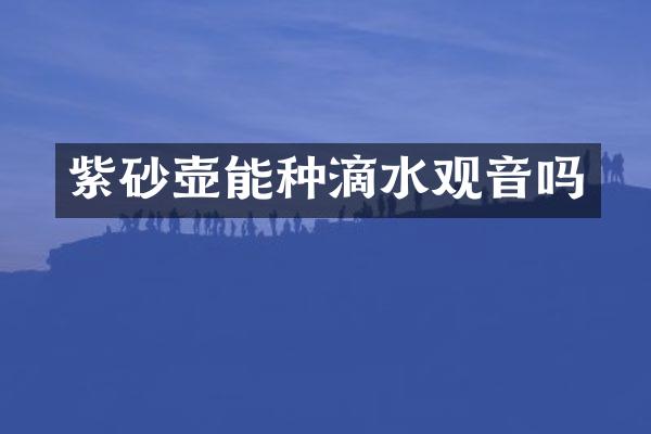 紫砂壶能种滴水观音吗