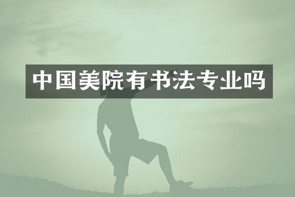 中国美院有书法专业吗
