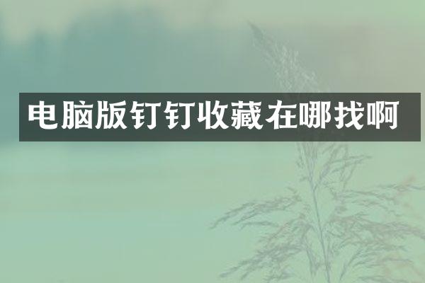电脑版钉钉收藏在哪找啊