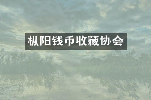 枞阳钱币收藏协会