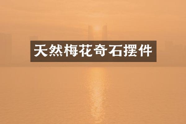 天然梅花奇石摆件