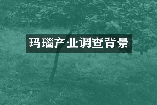 玛瑙产业调查背景