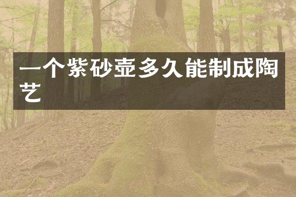 一个紫砂壶多久能制成陶艺