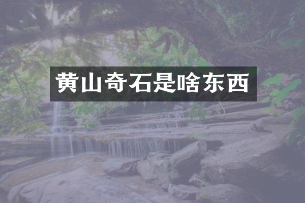 黄山奇石是啥东西