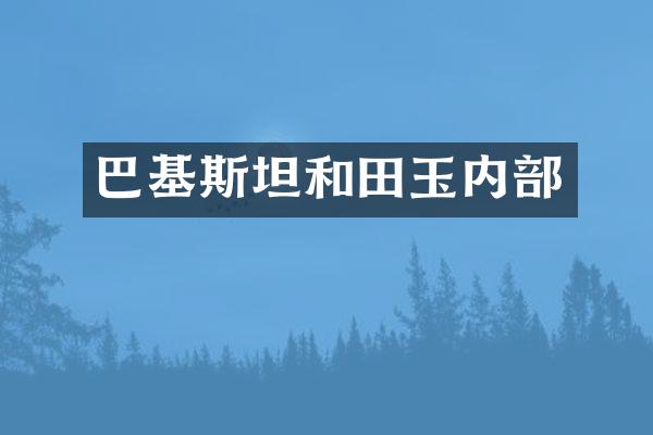 巴基斯坦和田玉内部