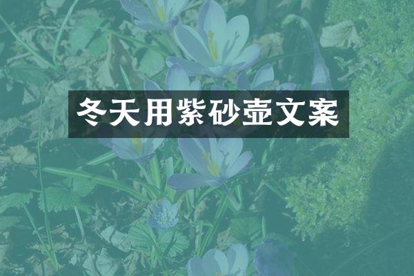 冬天用紫砂壶文案