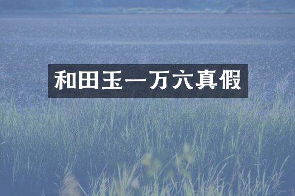 和田玉一万六真假