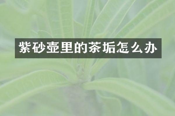 紫砂壶里的茶垢怎么办