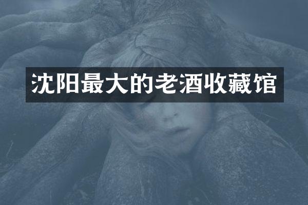 沈阳最大的老酒收藏馆