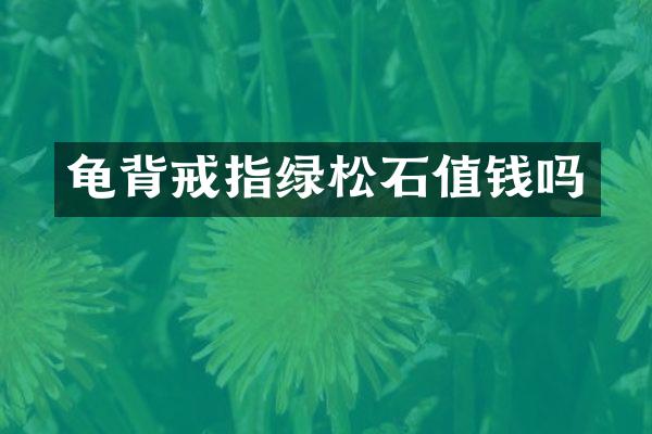 龟背戒指绿松石值钱吗