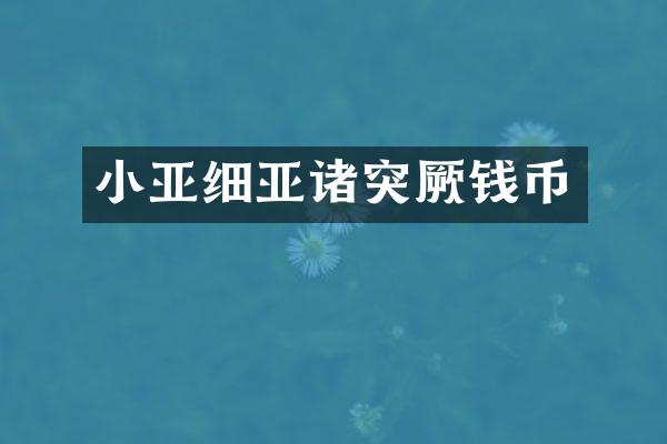 小亚细亚诸突厥钱币