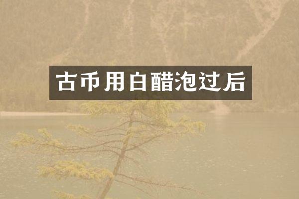 古币用白醋泡过后