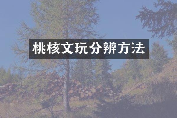 桃核文玩分辨方法