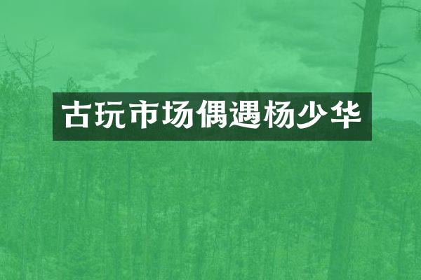 古玩市场偶遇杨少华