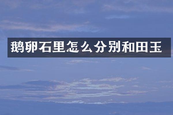 鹅卵石里怎么分别和田玉