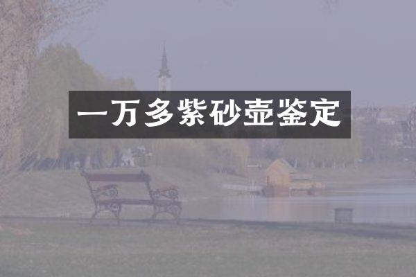 一万多紫砂壶鉴定