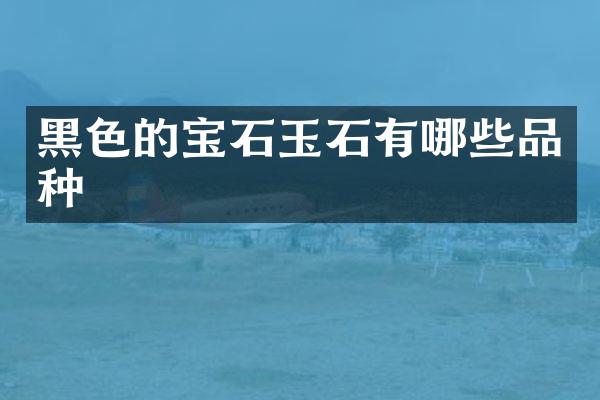 黑色的宝石玉石有哪些品种