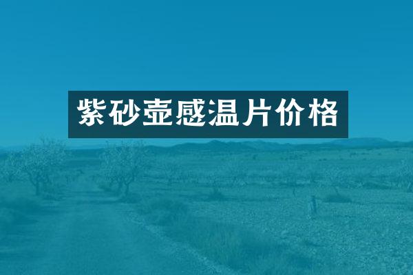 紫砂壶感温片价格