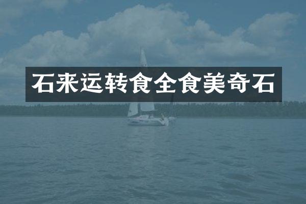 石来运转食全食美奇石