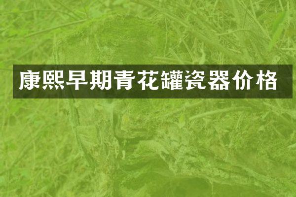 康熙早期青花罐瓷器价格