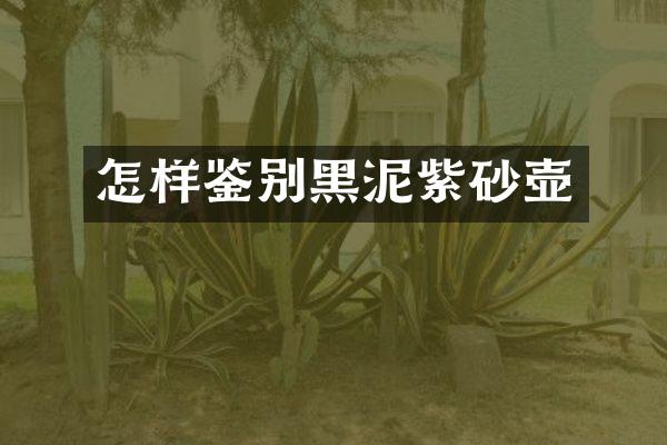 怎样鉴别黑泥紫砂壶