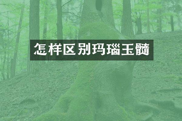 怎样区别玛瑙玉髓