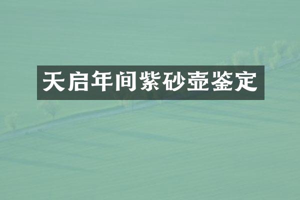 天启年间紫砂壶鉴定