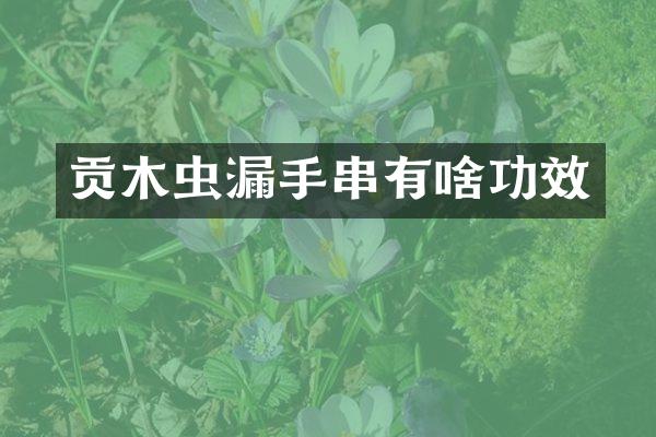 贡木虫漏手串有啥功效