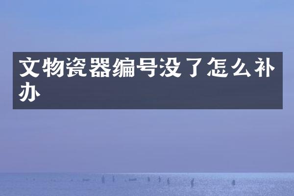 文物瓷器编号没了怎么补办