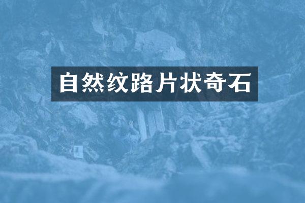 自然纹路片状奇石