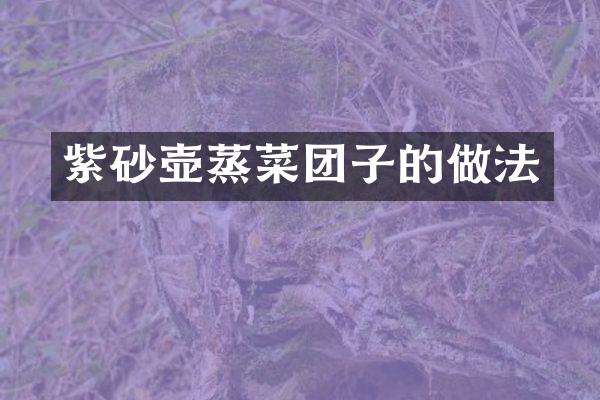 紫砂壶蒸菜团子的做法