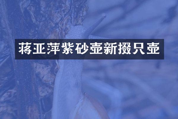 蒋亚萍紫砂壶新掇只壶