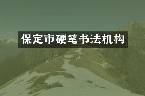 保定市硬笔书法机构