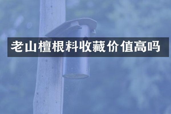 老山檀根料收藏价值高吗
