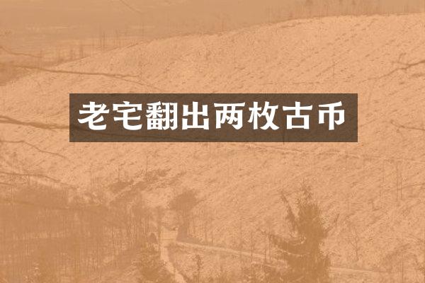 老宅翻出两枚古币