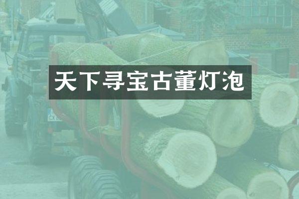天下寻宝古董灯泡