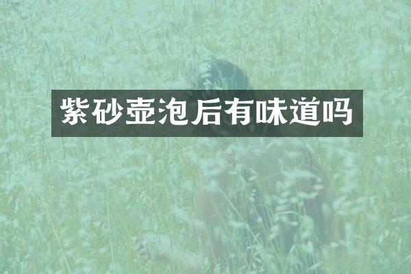 紫砂壶泡后有味道吗