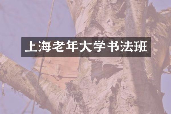 上海老年大学书法班